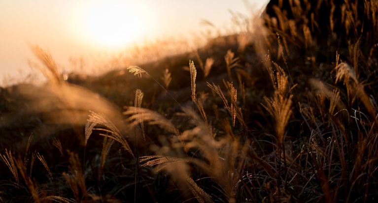 Noachis Art Gallery Is Committed To Providing A Platform For Artists To Share Their Unique Visions With The World