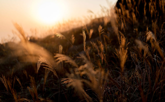 Noachis Art Gallery Is Committed To Providing A Platform For Artists To Share Their Unique Visions With The World